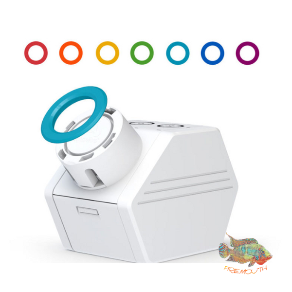 Sentia Dose de Aquavitro