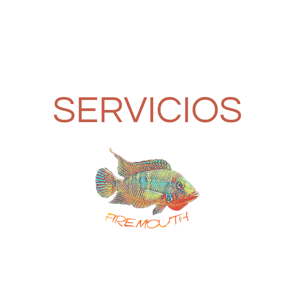 Servicios