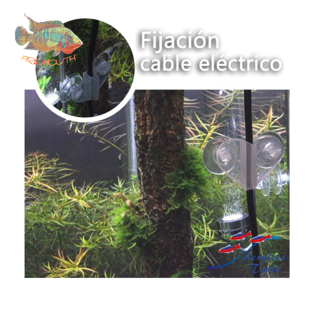 Soporte separador transparente pack 2 uds