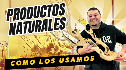 productos naturales para tu acuario