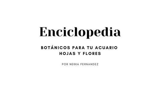 Hojas y flores para tu acuario