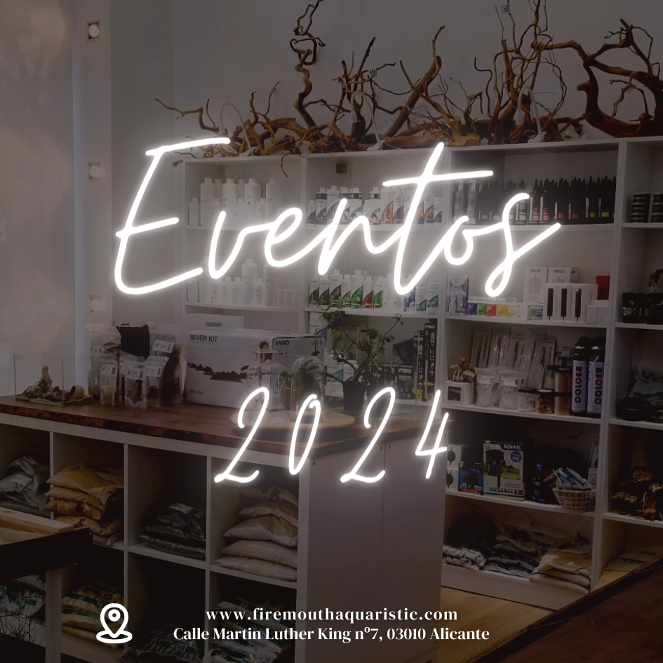 Eventos 2024