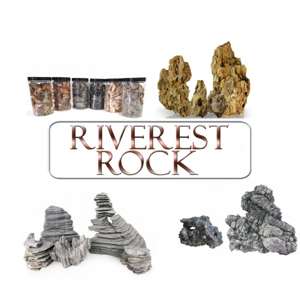 riverest rock