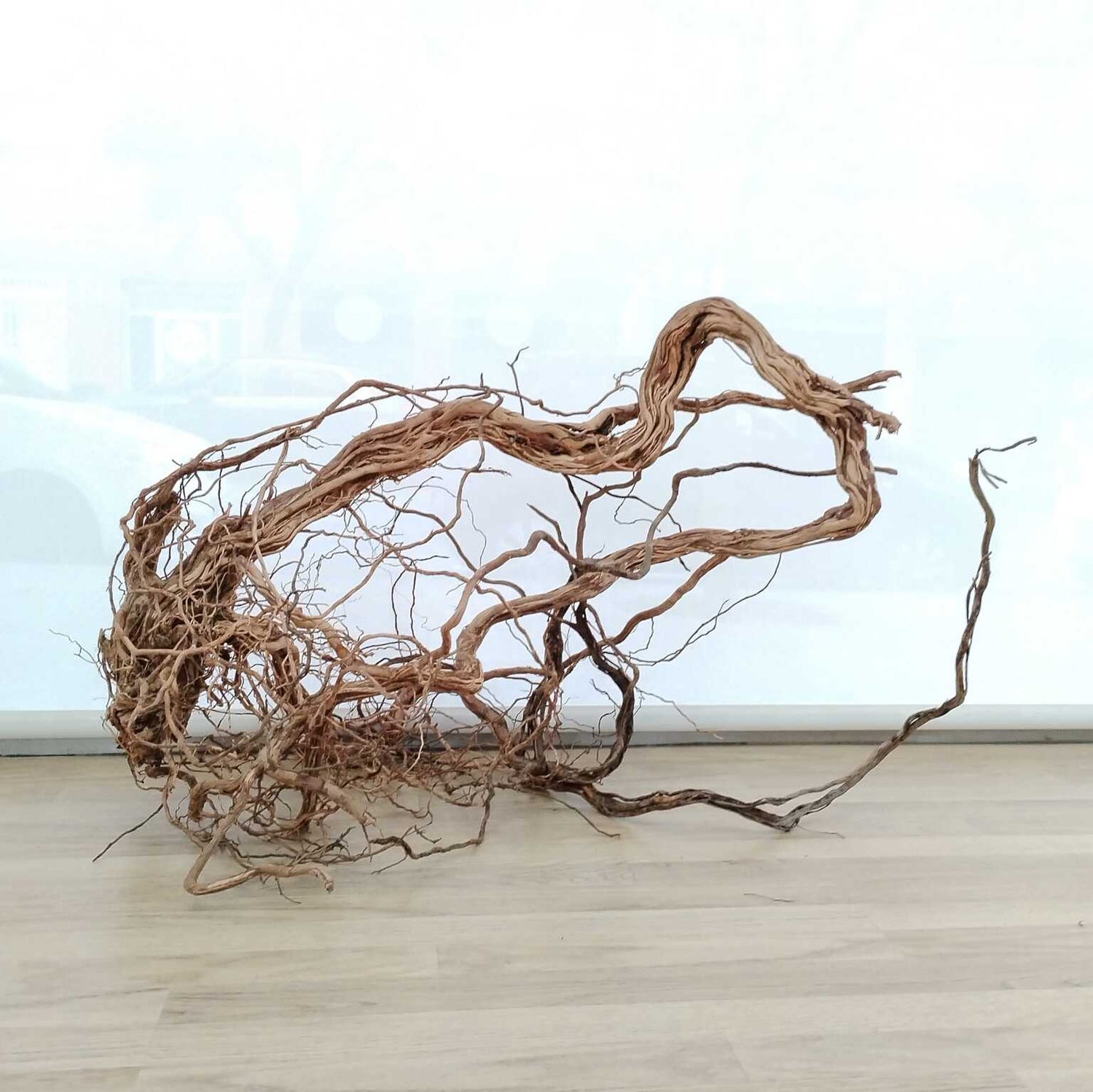 Hardscape Selección