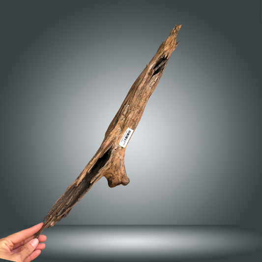 Driftwood 22O - 007 aprox. 50/60cm