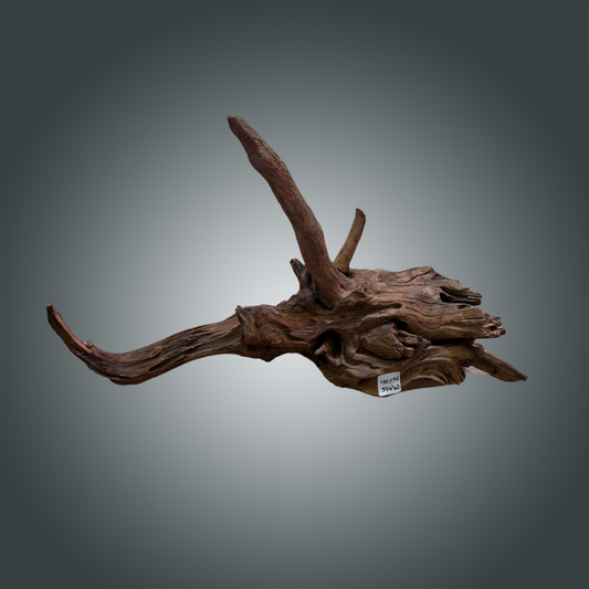 Driftwood pieza 24F - 021