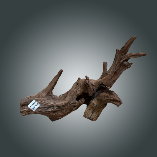 Driftwood pieza 24F - 028