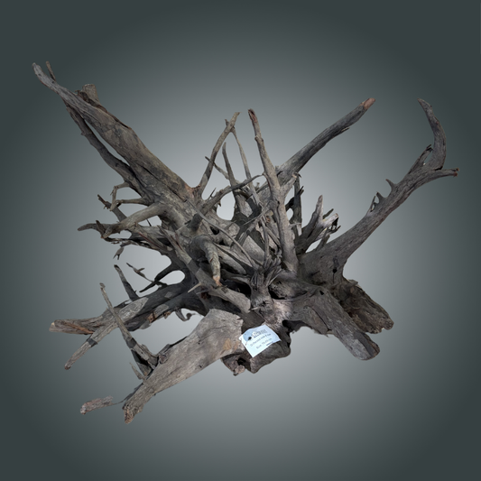 Natural Old Tree pieza nº 4m - 008