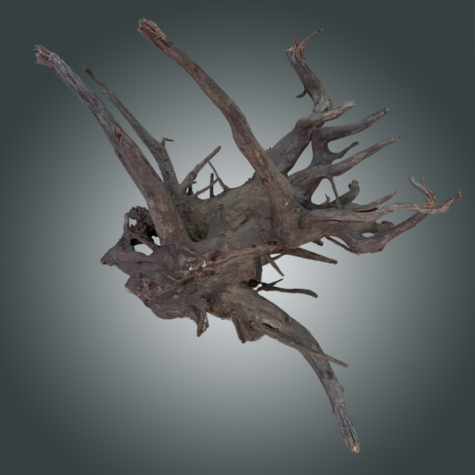 Natural Old Tree pieza nº 4m - 009