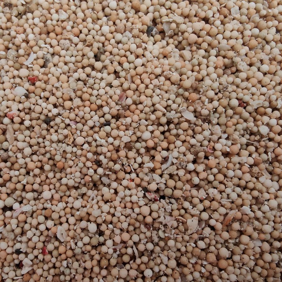 Arena BCF Bali Sand 1/2 mm – 10 kg