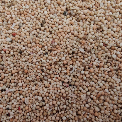 Arena BCF Bali Sand 1/2 mm – 10 kg