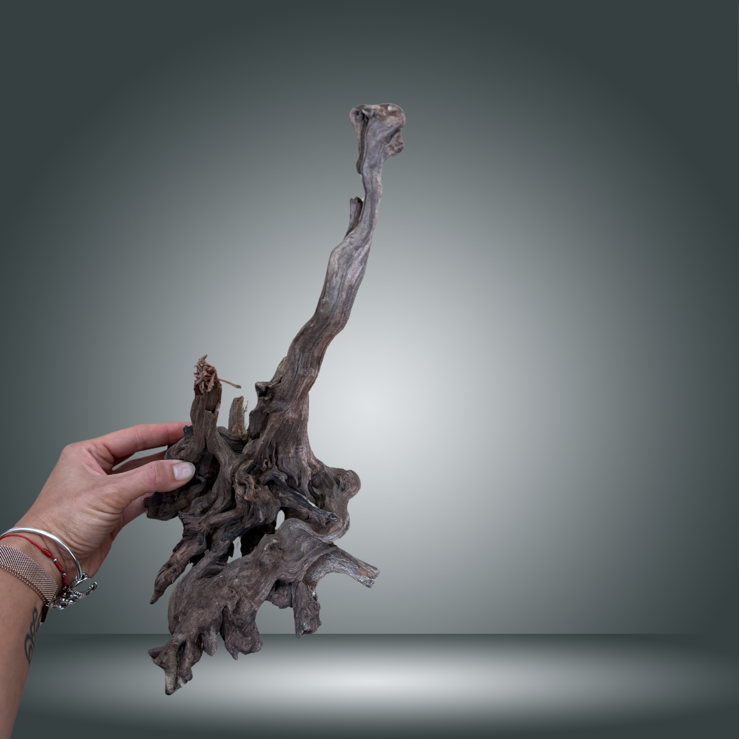 Coral Sinker 2M-007 20-35cm