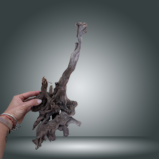 Coral Sinker 2M-007 20-35cm
