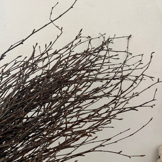 Madera Black Root | manojo