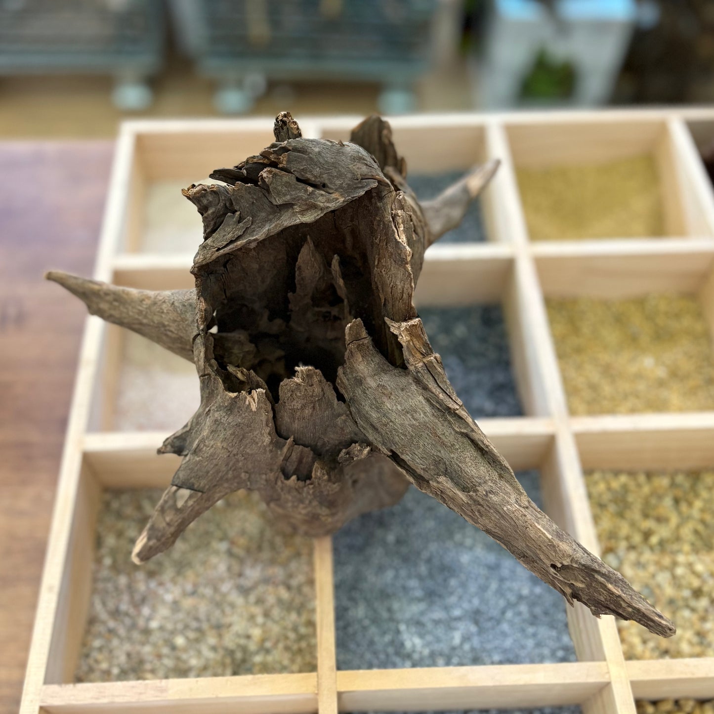 Tree stump 21-30cm | 002