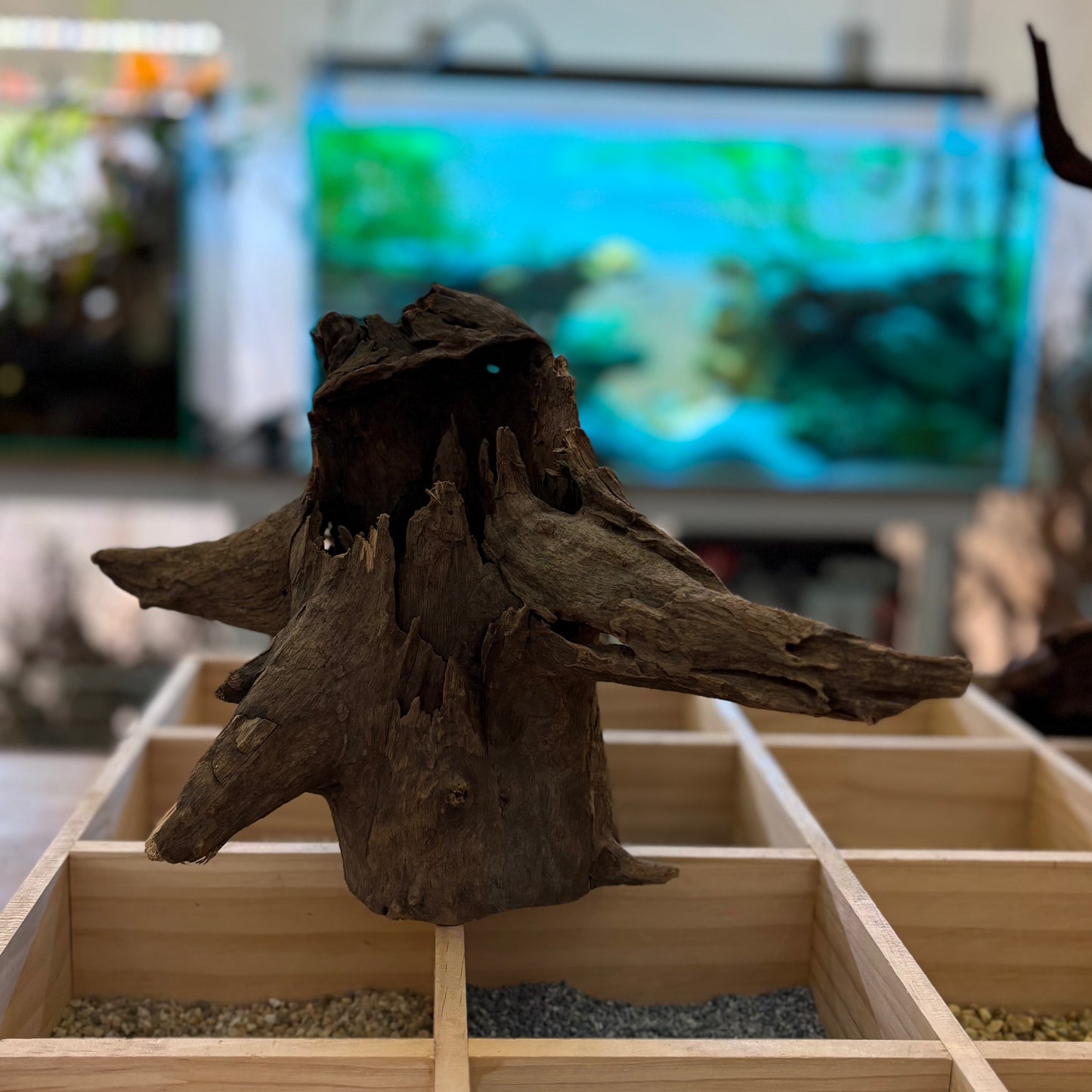 Tree stump 21-30cm | 002