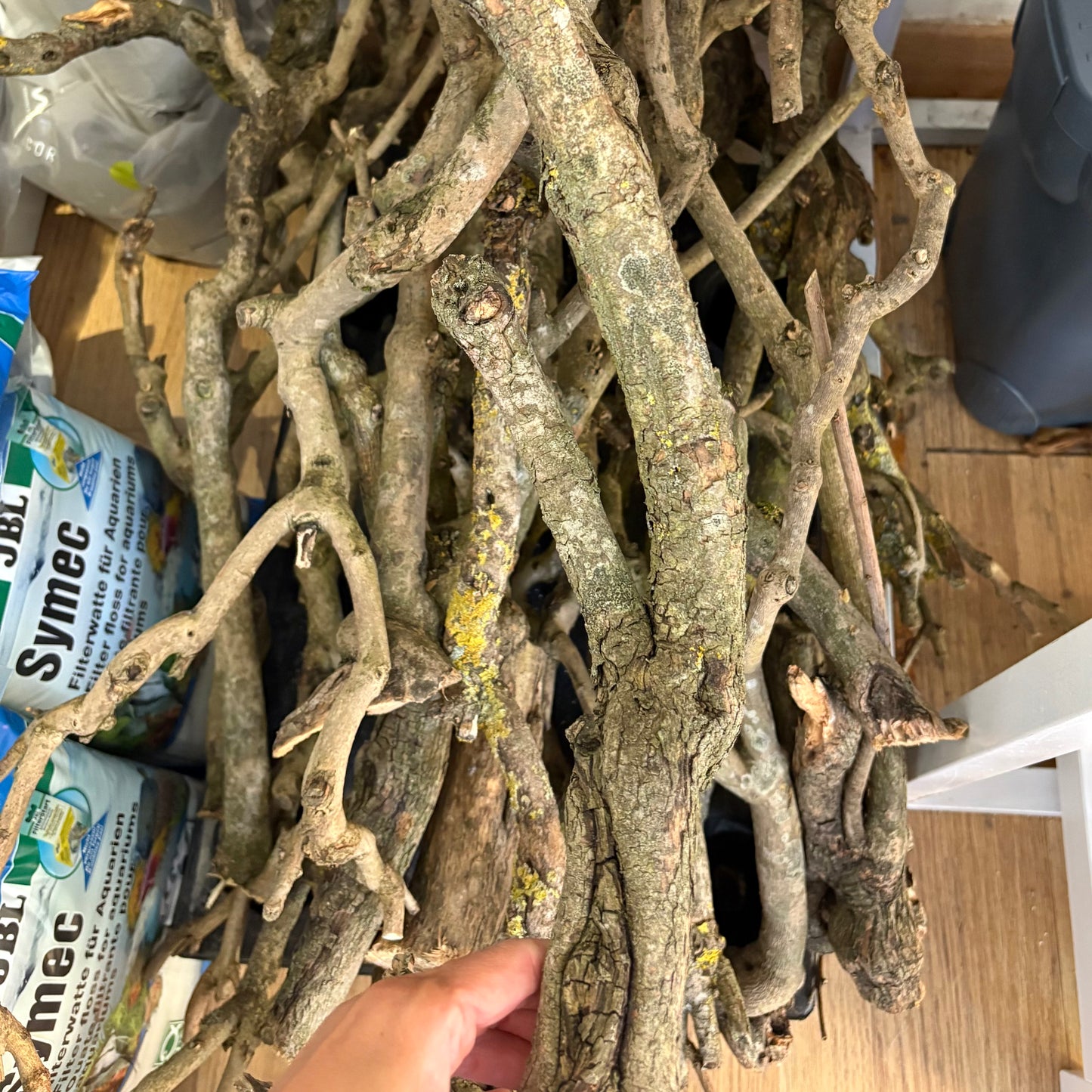 Madera Congo Branch | unidad