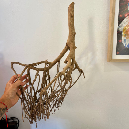 Madera Orinoco Branch 50-70cm | unidad