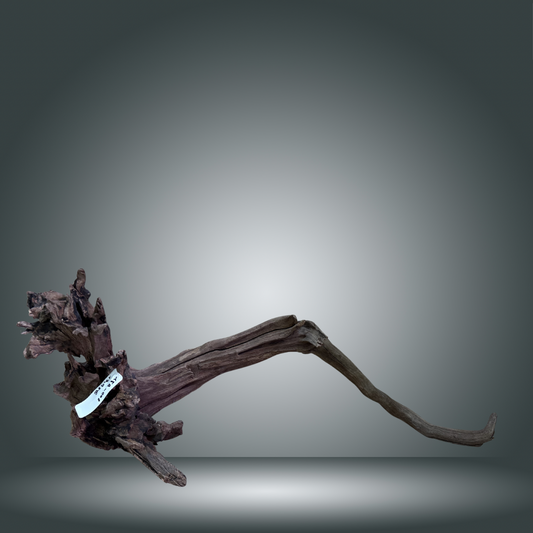 Coral Sinker 15A-008 aprox. 40-70 cm