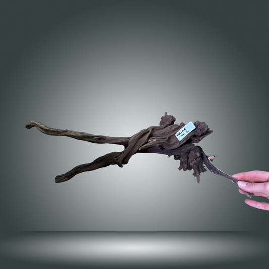 Coral Sinker 15A-006 aprox. 40-70 cm