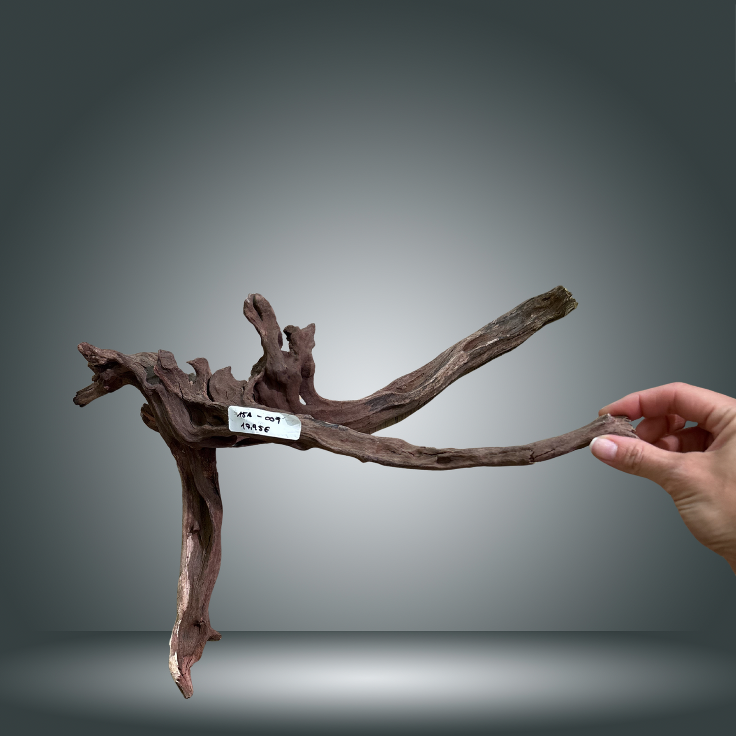Coral Sinker 15A-009 aprox. 40-70 cm