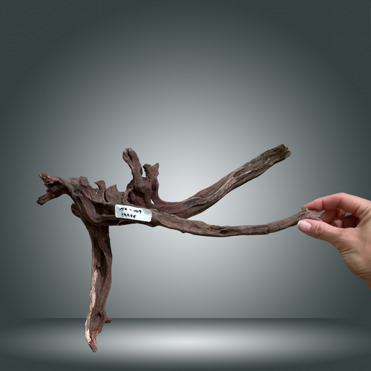 Coral Sinker 15A-009 aprox. 40-70 cm