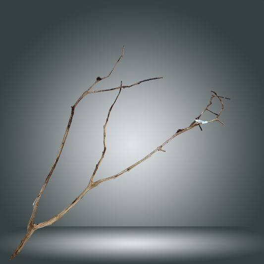 Perita wood XL Aprox. 120 cm - pieza 006