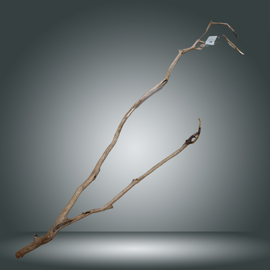 Perita wood XL Aprox. 120 cm - pieza 005