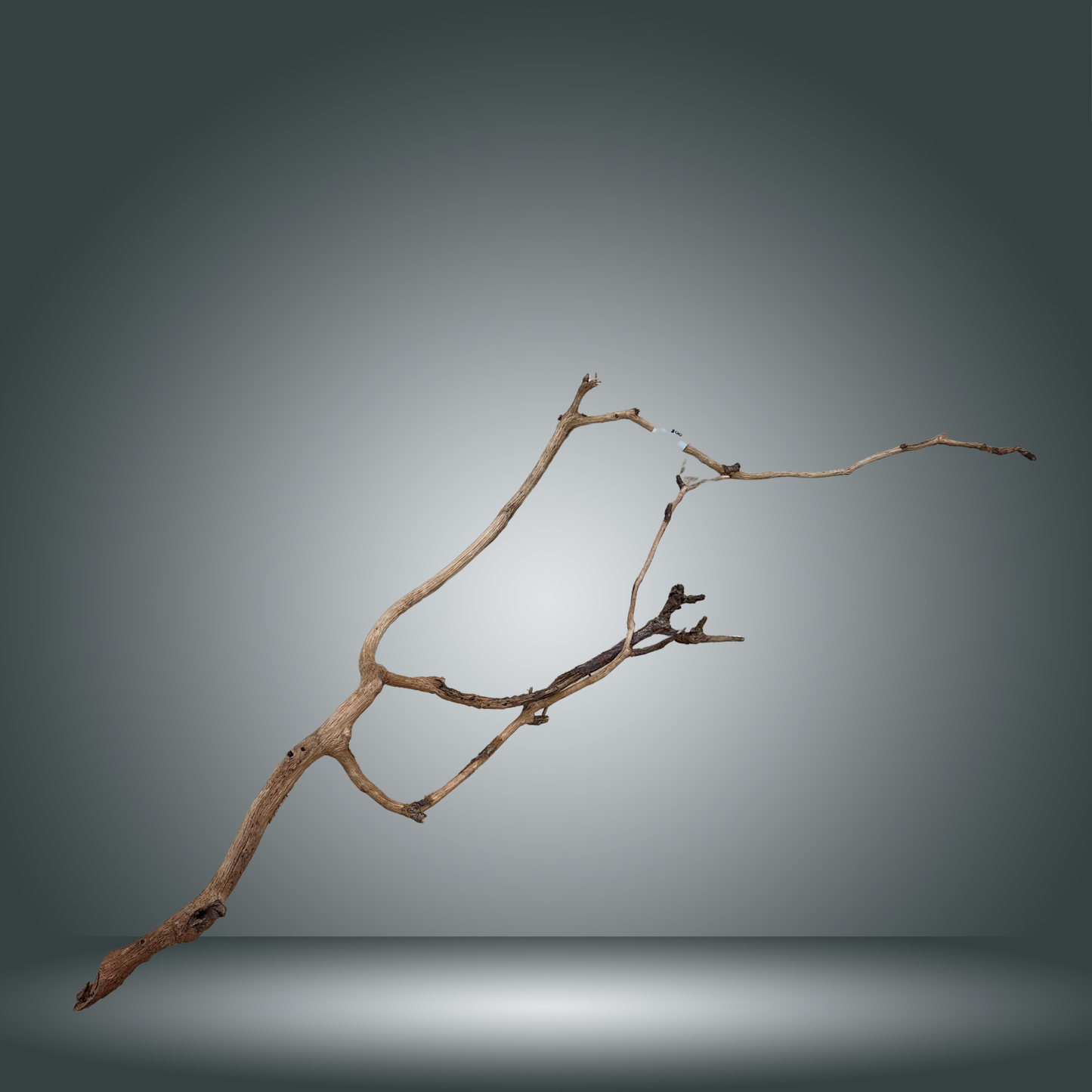Perita wood L Aprox. 80 cm - pieza 008