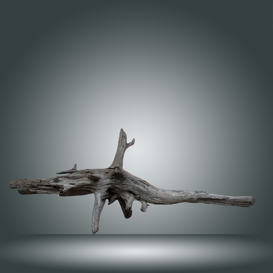 Natural Driftwood aprox 50cm/60cm 15M-001
