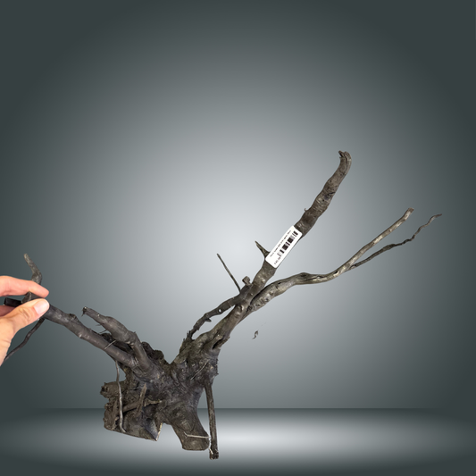 Black Spider 8OC-010 | aprox 50cm