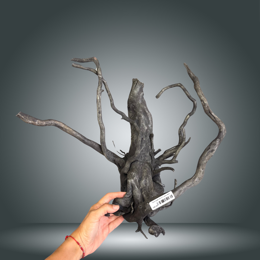 Black Spider 8OC-011 | aprox 50cm