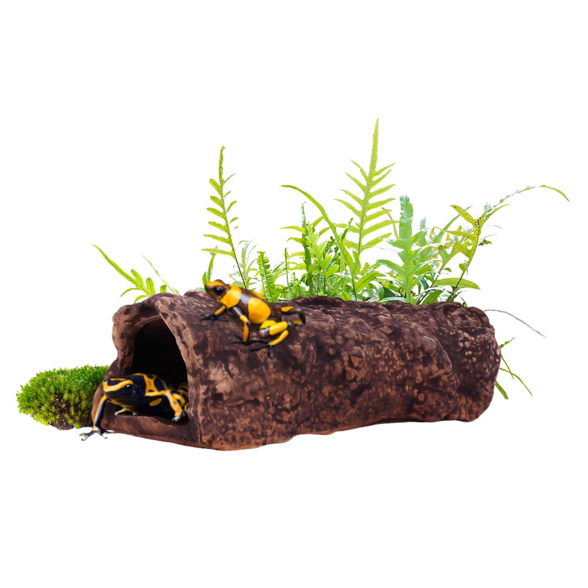 Cueva cerámica modelo L4 Aquavitro