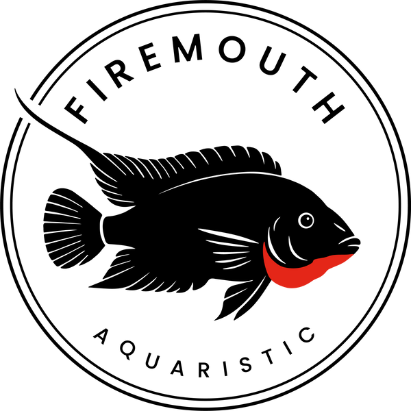 FiremouthAquaristic