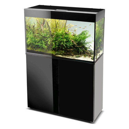 SET Aquael Glossy 80 de 125L (acuario + mesa + tapa con iluminación) - Negro