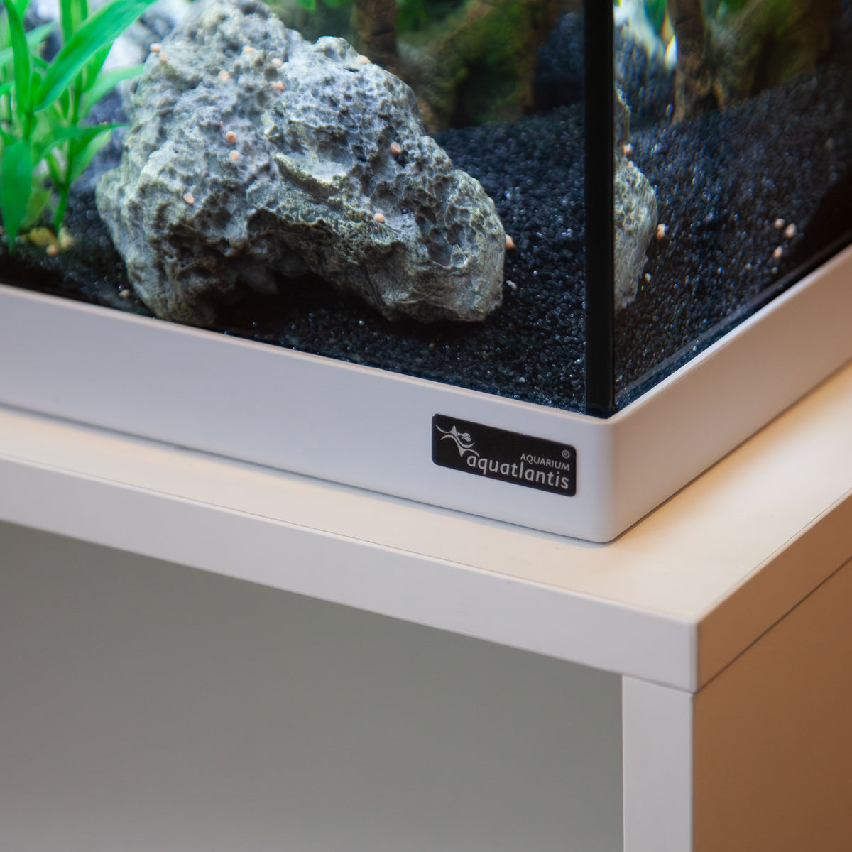 Acuario Aquatlantis Explorer Paris BIOBOX 58 litros | Blanco