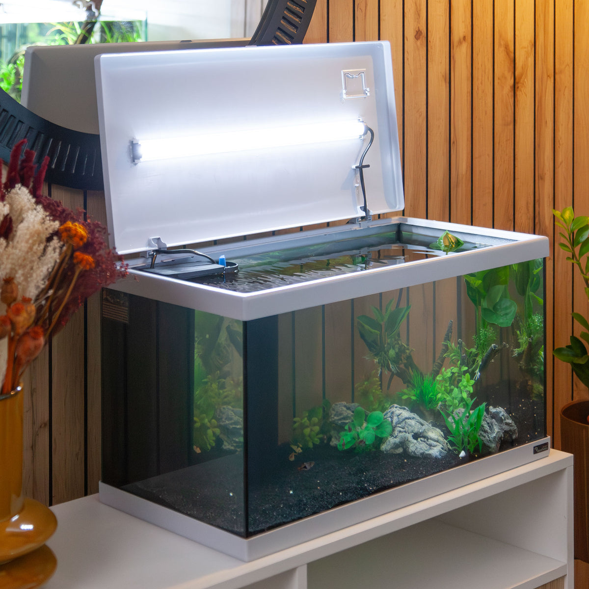 Acuario Aquatlantis Explorer Paris BIOBOX 58 litros | Blanco