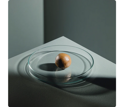 StreamBiz Artemia Paste 120 g