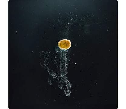 StreamBiz Artemia Paste 120 g