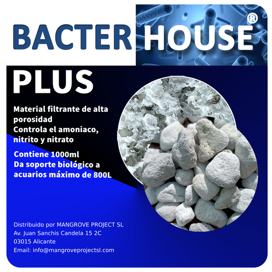 BacterPlus 1000ml