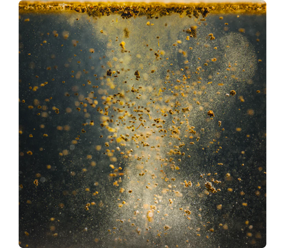 StreamBiz Betta Natural Granules 40 g