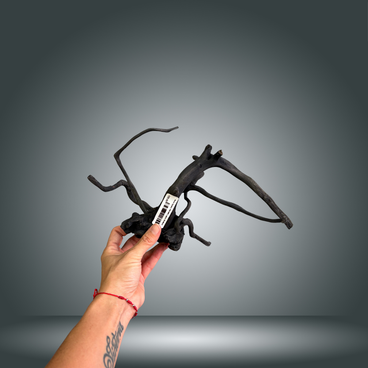 Black Spider 29S-005 | aprox 30-40cm