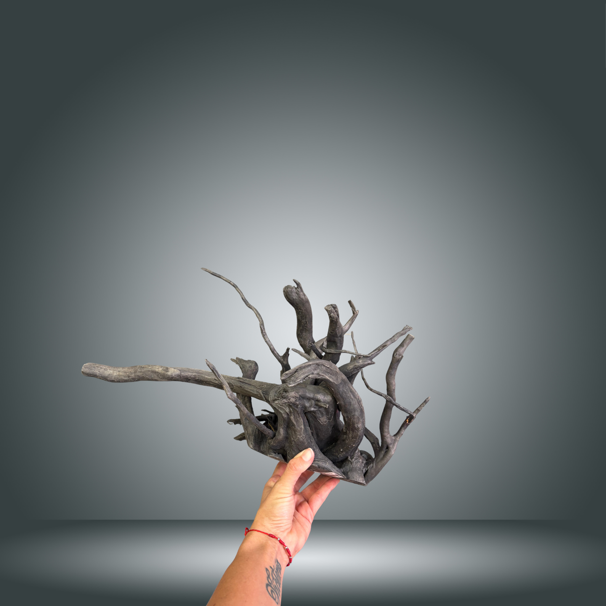 Black Spider 29S-008 | aprox 30-40cm