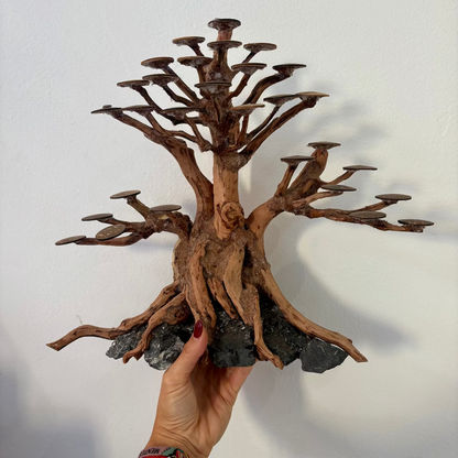 Bonsai Ramasala L nº 2