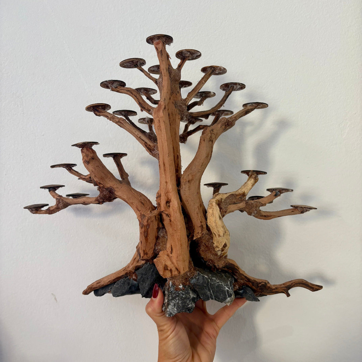 Bonsai Ramasala L nº 2