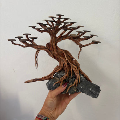Bonsai Rasamala M