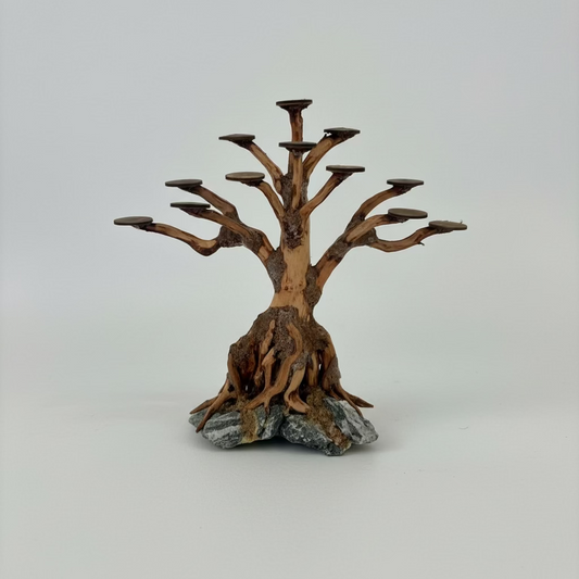 Bonsai Rasamala XS nº 2