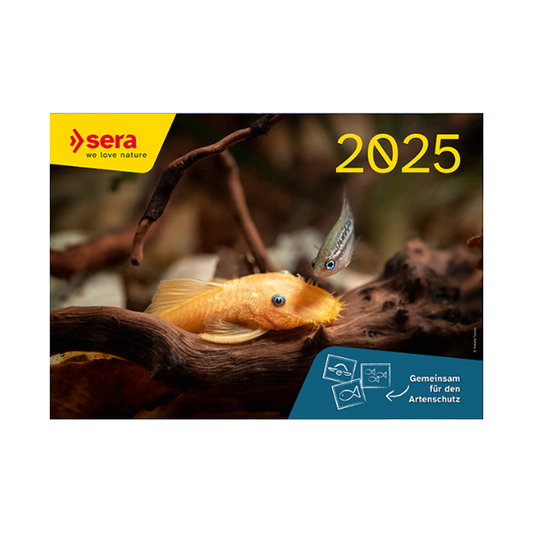 Calendario Sera 2025