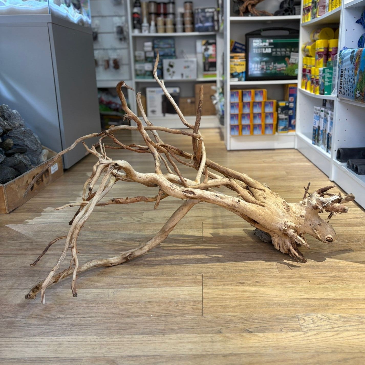 Clear wood 90/100 x 75