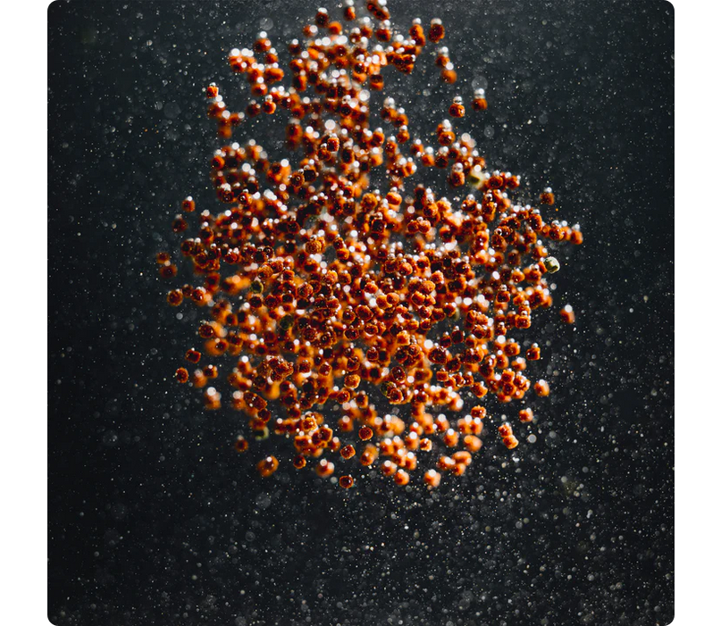 StreamBiz Cichlid Color Soft Granules 80 g